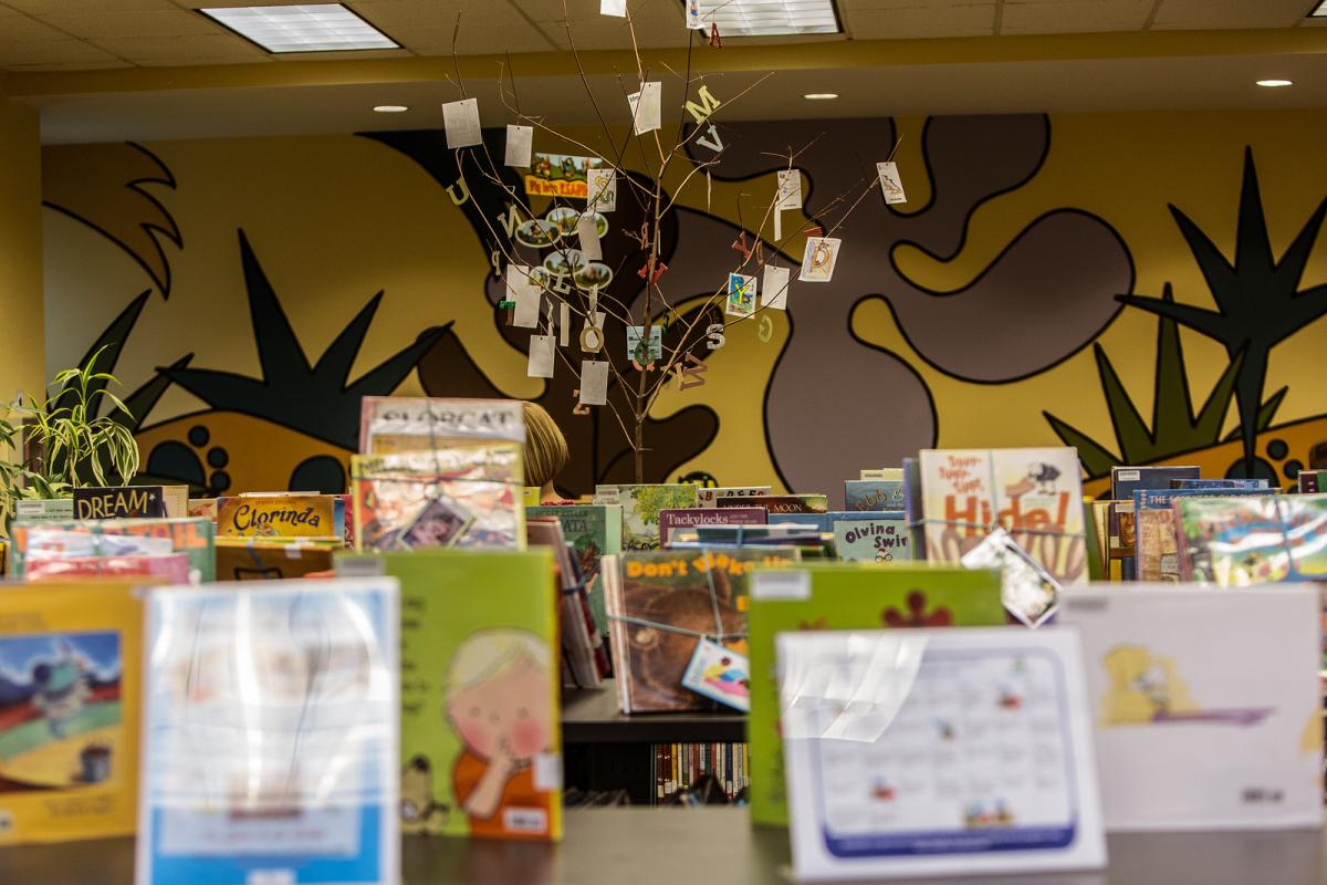 Mint Hill Charlotte Mecklenburg Library