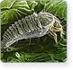 ProQuest Biology Journals ProQuest Biology Journals