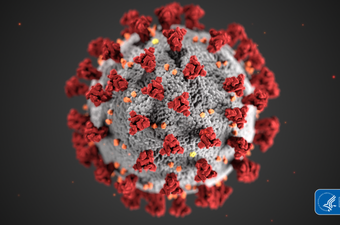 Information on Coronavirus Diseas 2019 (COVID-19)
