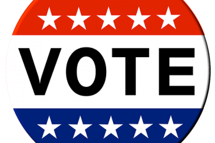 Early voting in the municipal general election is available at Davidson, Matthews, Mint Hill and North County Regional Libraries