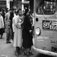Celebrate Rosa Parks Day with books and music.
