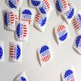 Learn how to vote with Charlotte Mecklenburg Library and WFAE.