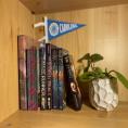 Books on a shelf.  Photo by Emily Pack of "The Daily Tar Heel."